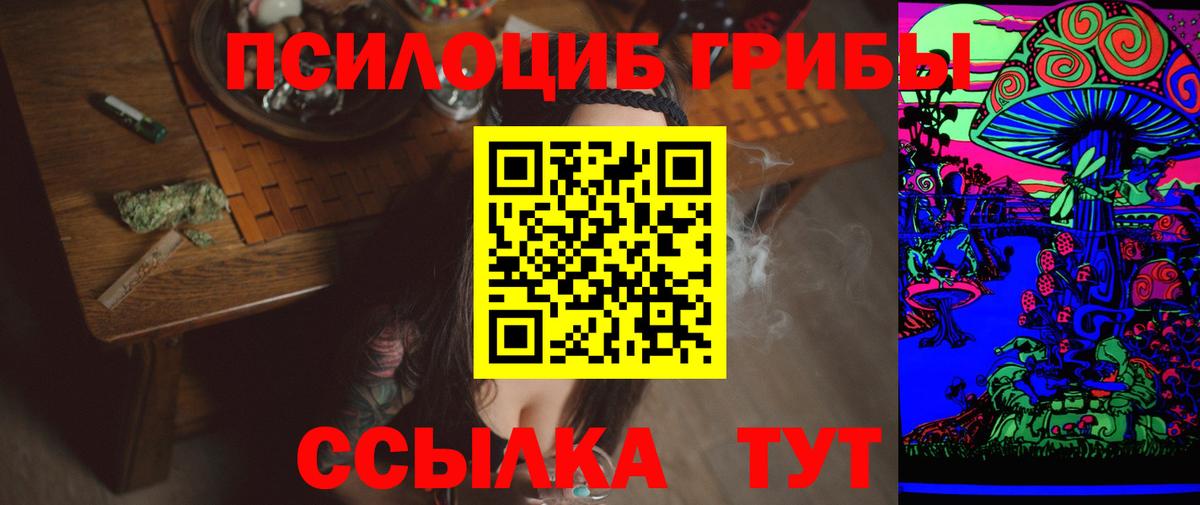 Галлюциногенные грибы GOLDEN TEACHER  Вход с VPN  Новоалександровск 
