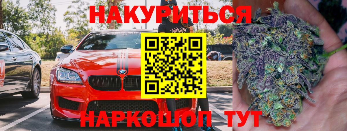 Каннабис планчик Новоалександровск